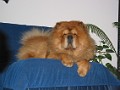 20041224